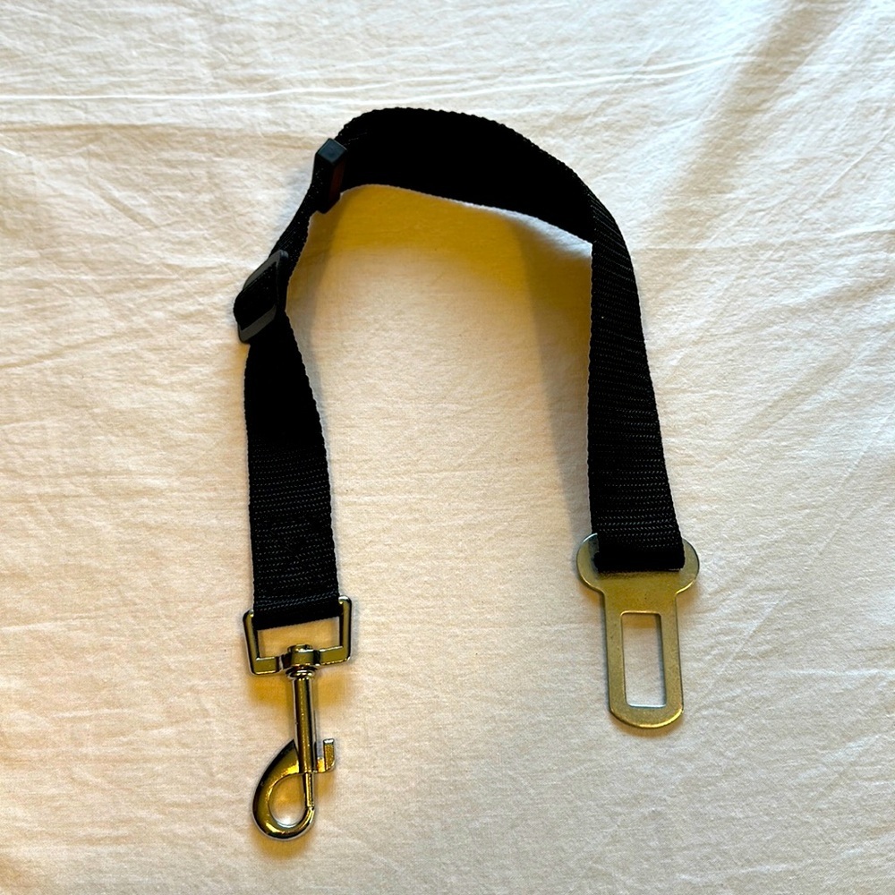 Dog Seat Belt